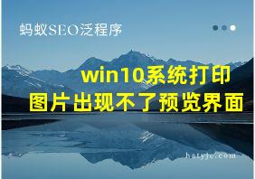 win10系统打印图片出现不了预览界面