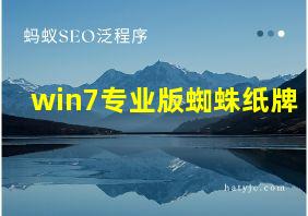 win7专业版蜘蛛纸牌