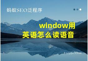 window用英语怎么读语音