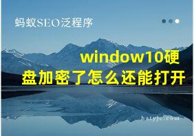 window10硬盘加密了怎么还能打开