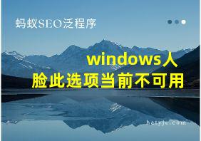 windows人脸此选项当前不可用