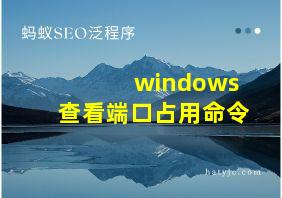 windows查看端口占用命令