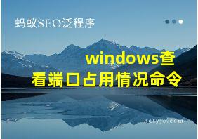 windows查看端口占用情况命令