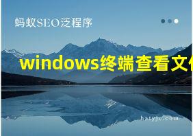 windows终端查看文件