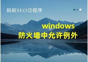 windows防火墙中允许例外