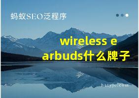 wireless earbuds什么牌子