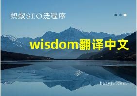 wisdom翻译中文