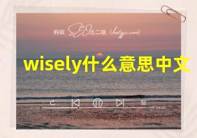 wisely什么意思中文