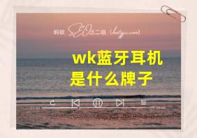 wk蓝牙耳机 是什么牌子