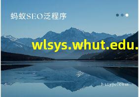 wlsys.whut.edu.cn