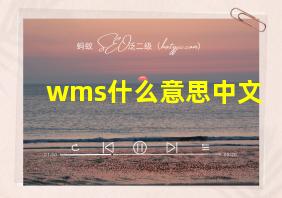 wms什么意思中文