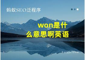 won是什么意思啊英语