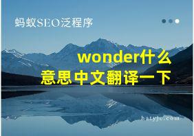 wonder什么意思中文翻译一下