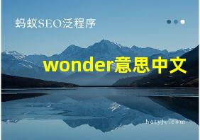 wonder意思中文