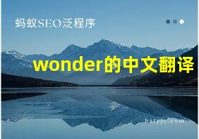 wonder的中文翻译