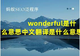 wonderful是什么意思中文翻译是什么意思