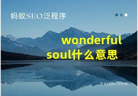 wonderful soul什么意思