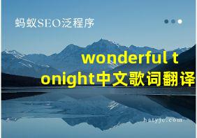 wonderful tonight中文歌词翻译