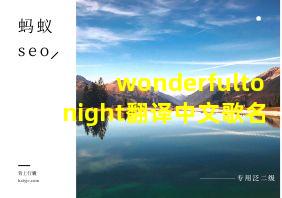 wonderfultonight翻译中文歌名