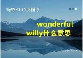 wonderfulwilly什么意思