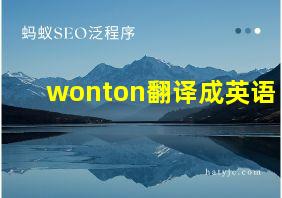 wonton翻译成英语