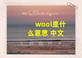 wool是什么意思 中文