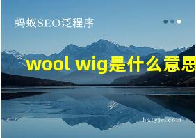 wool wig是什么意思