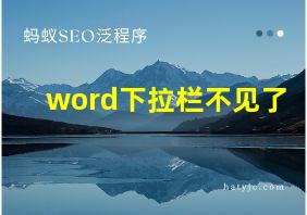 word下拉栏不见了