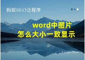 word中图片怎么大小一致显示