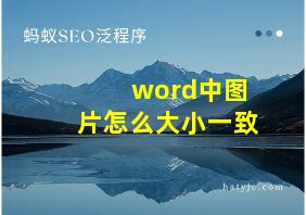 word中图片怎么大小一致