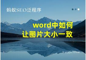 word中如何让图片大小一致