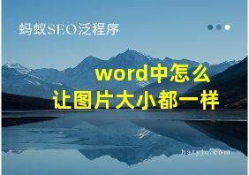 word中怎么让图片大小都一样