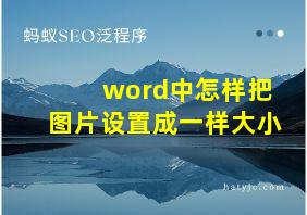 word中怎样把图片设置成一样大小