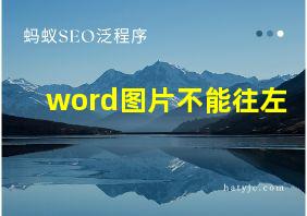 word图片不能往左