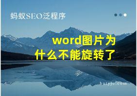 word图片为什么不能旋转了