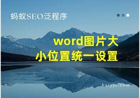 word图片大小位置统一设置