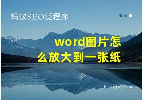 word图片怎么放大到一张纸