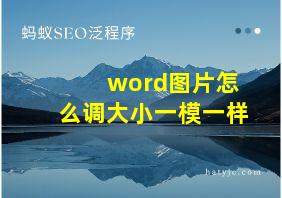 word图片怎么调大小一模一样