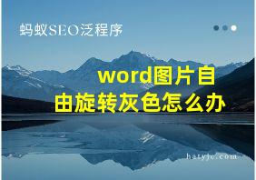 word图片自由旋转灰色怎么办