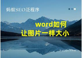 word如何让图片一样大小