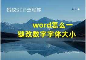 word怎么一键改数字字体大小