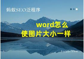 word怎么使图片大小一样