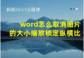 word怎么取消图片的大小缩放锁定纵横比