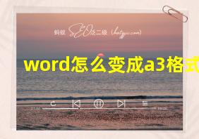 word怎么变成a3格式