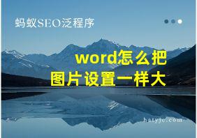 word怎么把图片设置一样大