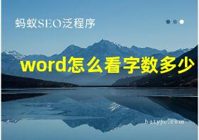 word怎么看字数多少