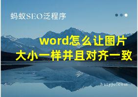 word怎么让图片大小一样并且对齐一致