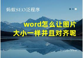 word怎么让图片大小一样并且对齐呢