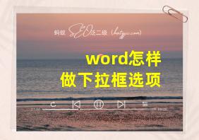 word怎样做下拉框选项