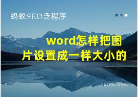 word怎样把图片设置成一样大小的